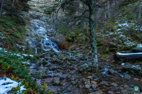 Cascada en el **puerto de Canencia**, con nieve y rocas cubriendo el cauce. Un árbol solitario vigila el paisaje.