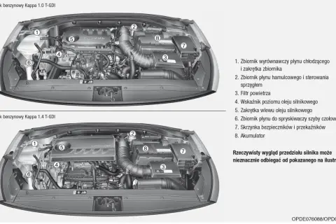 Pod maską Hyundai i30 1.4 benzyna: zbiornik płynu chłodzącego (1), hamulcowego (2), filtr powietrza (3), wskaźnik oleju (4), wlew oleju (5), zbiornik spryskiwaczy (6), skrzynka bezpieczników (7), akumulator (8).