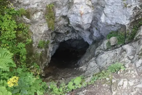Wejście do Smoczej Jamy w Tatrach, skalne urwisko porośnięte zielenią, z widocznym łańcuchem ułatwiającym zejście.