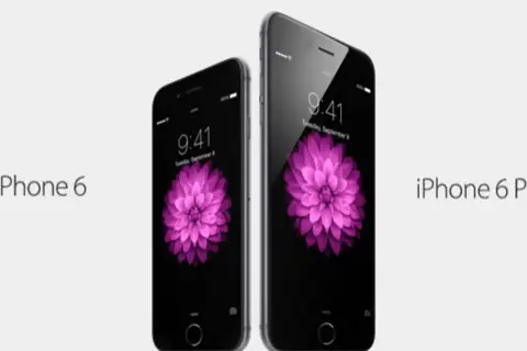 Dwa telefony iPhone 6 i iPhone 6 Plus z różowym kwiatem na ekranie. Zastanawiasz się, ile kosztuje iPhone 6?