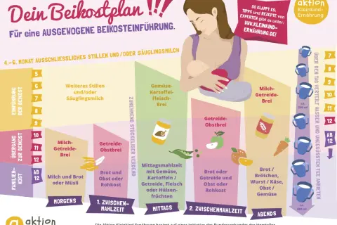 Dein Beikostplan zeigt, wie Babys ab dem 4.-6. Monat schrittweise an feste Nahrung gewöhnt werden.
