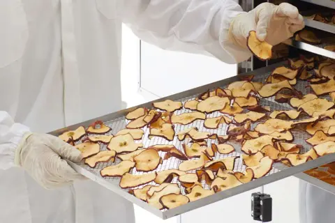 Mani guantate controllano la qualità delle mele disidratate, un processo di essiccazione che preserva il sapore.