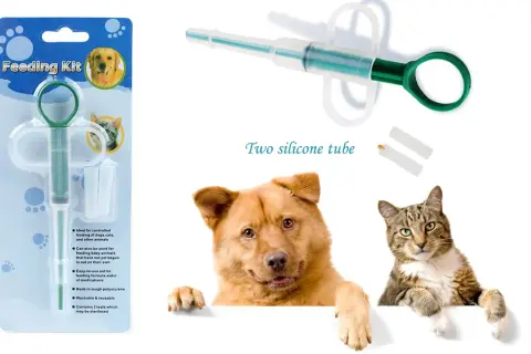 Cómo dar pastillas a un gato sin estrés: métodos efectivos y sencillos