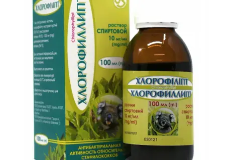 Chlorofillipt jak stosować do inhalacji - skuteczne metody i dawkowanie