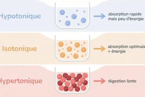 Comparaison des boissons isotoniques : hypotonique (rapide, peu d'énergie), isotonique (optimale, énergie), hypertonique (lente).