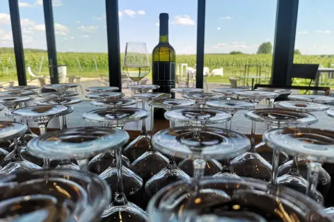 Szklanki czekają na degustację w winnicy Preto. W tle rozciągają się zielone winorośle pod błękitnym niebem.