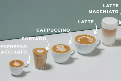 Kaffee-Variationen: Espresso Macchiato, Cortado, Cappuccino, Latte und Latte Macchiato. Der Unterschied zwischen Cappuccino und Latte wird hier visuell erklärt.
