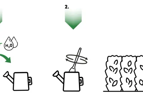 Instrukcja: jaki nawóz do laurowiśni. Krok 1: wymieszaj nawóz z wodą. Krok 2: zamieszaj. Krok 3: podlej rośliny.