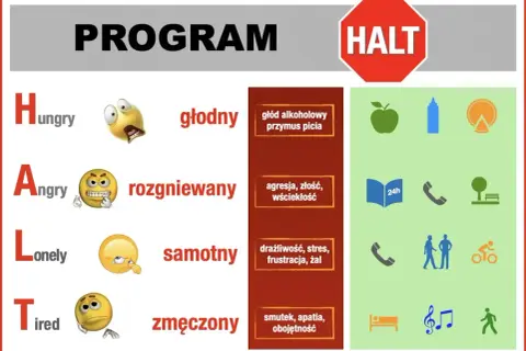 Program HALT: głodny, rozgniewany, samotny, zmęczony. Plan na wyjście z terapii zawiera zdrowe jedzenie, rozmowę, odpoczynek i aktywność.