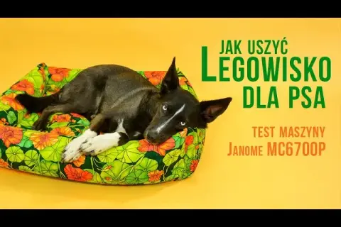 Wygodne legowisko dla psa bez szycia? 4 proste metody DIY!
