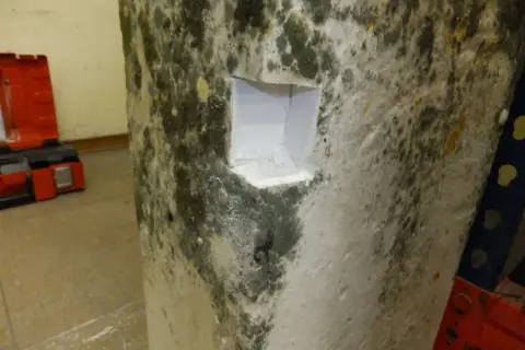 Schimmel hinter Rigips vermeiden: Die Wand zeigt deutlichen Schimmelbefall. Ein Werkzeugkasten liegt im Hintergrund.