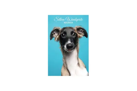 Un gracioso silken windsprite con la lengua afuera, posando para un cuaderno azul.