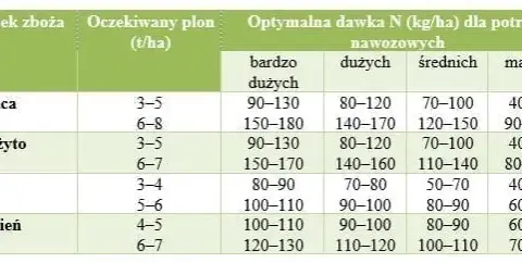 Optymalne nawożenie żyta: Dawki NPK, terminy i błędy