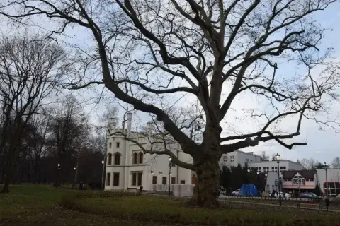 Pałac w Miechowicach: niezwykła atrakcja Bytomia zaprasza na zwiedzanie