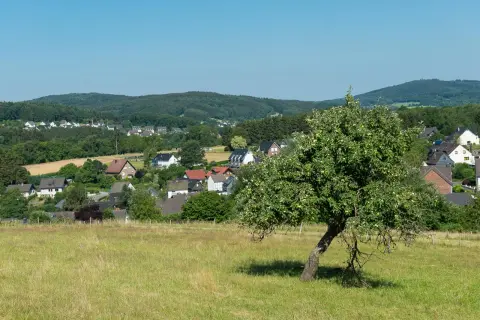 Grünes Tal mit Apfelbaum im Vordergrund, Häuser und Wälder im Hintergrund. Ein idyllischer Ort am Bierweg Bielstein.
