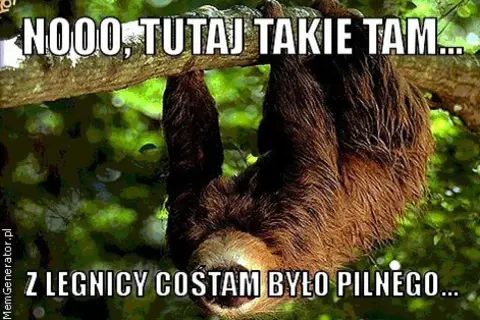Lenistwie zwisające z gałęzi drzewa, z tekstem "NOOO, TUTAJ TAKIE TAM... Z LEGNICY COŚTAM BYŁO PILNEGO...".