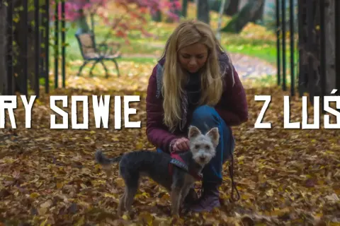 Jesień w Górach Sowich z psem. Kobieta w bordowej kurtce klęczy wśród opadłych liści, głaszcząc swojego małego, kudłatego pupila.