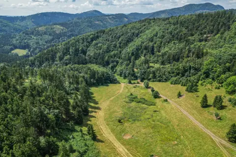 Głuszyca atrakcje, które zaskoczą każdego turystę w regionie
