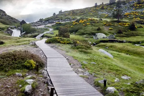 Sendero de madera serpentea por colinas verdes y rocosas, ideal para rutas senderismo Madrid. Flores amarillas salpican el paisaje.