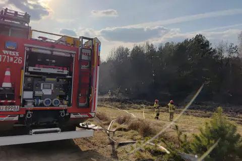Strażacy gaszą pożar w lesie, widać wóz strażacki z numerem LLU rejestracja.