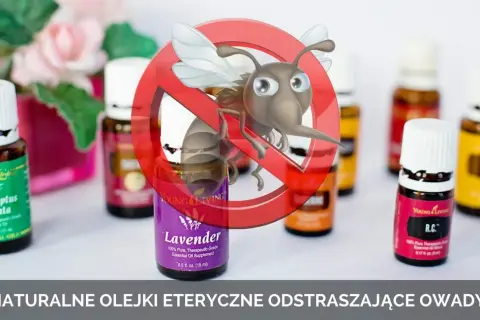 Najlepsze olejki na meszki, które skutecznie je odstraszą