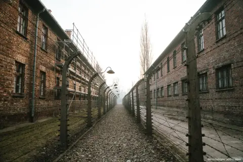 Camino de grava entre edificios de ladrillo y alambradas con espinos, evocando el triste recuerdo del autobús Cracovia Auschwitz.