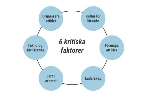 Diagrammet visar 6 kritiska faktorer för lärande: Kultur, Förmåga att lära, Ledarskap, Lära i arbetet, Teknologi och Organisera stödet. Dessa är viktiga ledord exempel för framgångsrik utveckling.