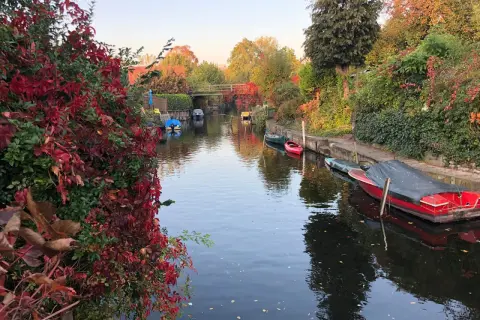 Herbstliche Idylle am Kanal in Berlin, fast wie neu Venedig. Boote liegen vertäut, rote Weinblätter schmücken das Ufer.