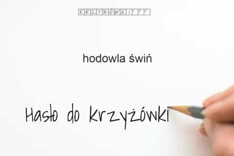 Hodowla świń jak się nazywa? Różnice między hodowlą a chowem
