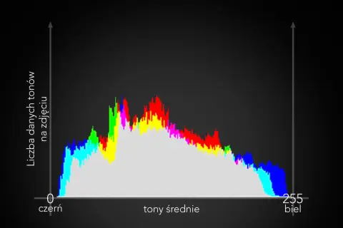 Histogram co to? Wykres pokazuje rozkład jasności tonów na zdjęciu, od czerni (0) do bieli (255).