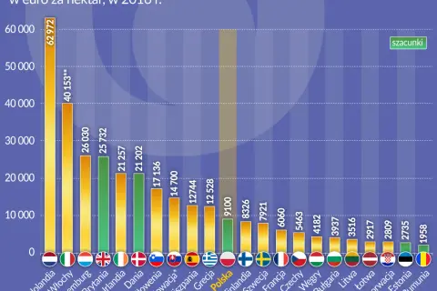 Ile kosztuje m2 działki rolnej? Sprawdź, co wpływa na cenę i uniknij błędów przy zakupie