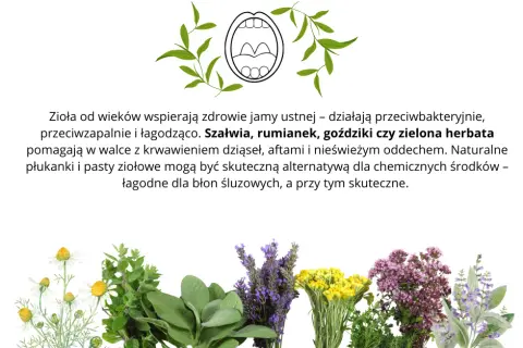 Szałwia czy rumianek na dziąsła? Które zioło ukoi ból i stan zapalny?
