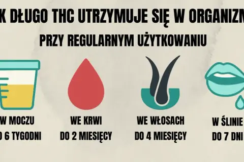 THC w organizmie: Jazda, praca, prawo. Uniknij pułapek!