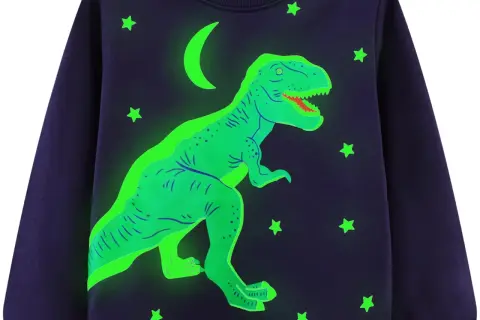 Bluza z dinozaurem dla chłopca: Jak wybrać hit, który pokocha?