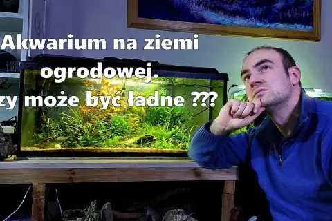 Jak założyć akwarium na ziemi ogrodowej bez zbędnych problemów