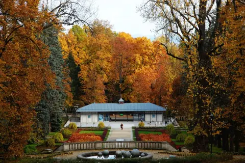 Jesienny park w Sosnowcu, z kolorowymi liśćmi i fontanną, to jedno z romantycznych miejsc na Śląsku.