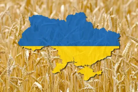 Carte de l'Ukraine aux couleurs du drapeau, superposée sur un champ de blé doré. L'image évoque la richesse agricole et la production de blé de l'Ukraine, un classement mondial important.