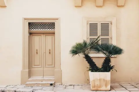 Fachada color crema con puerta doble beige y palmera en maceta.