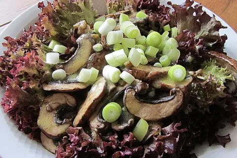 Lollo Rosso: Gesund, knackig & einfach zubereitet | Tipps & Rezepte