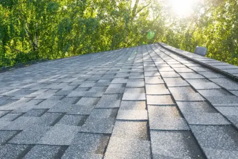 A close-up view of a grey asphalt shingle roof, showing the texture and pattern of the coating. Lush green trees are visible in the background, with sunlight filtering through the leaves.