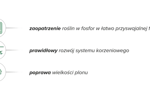 Fostar zapewnia roślinom fosfor, wspiera rozwój korzeni i poprawia wielkość plonu.