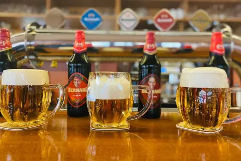 Trzy kufle z pianą i butelki piwa Bernard na barze. Idealny moment, kiedy piwo zamarza, tworząc orzeźwiający napój.