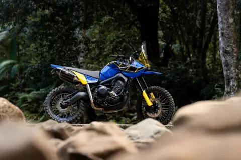 Niebiesko-żółty motocykl typu adventure stoi na tle lasu, z kamieniami na pierwszym planie.