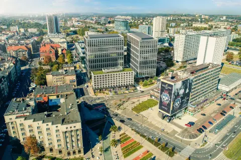 Hipologia i jeździectwo Katowice: Jak rozwijać pasję i karierę?