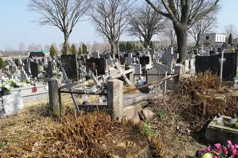Dlaczego na cmentarzu nie śmierdzi? Oto tajemnice braku zapachów