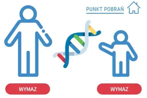 Kto płaci za badania DNA zlecone przez sąd? Poznaj zasady i wyjątki