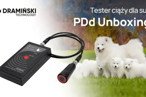 Test ciążowy dla psa: Kup online, zrób sam, poznaj prawdę o ciąży!