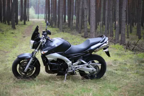 Suzuki GSR600 zaparkowany na leśnej ścieżce, otoczony sosnami.