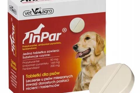 Jak działa tabletka na odrobaczanie psa: mechanizm, dawkowanie, skuteczność
