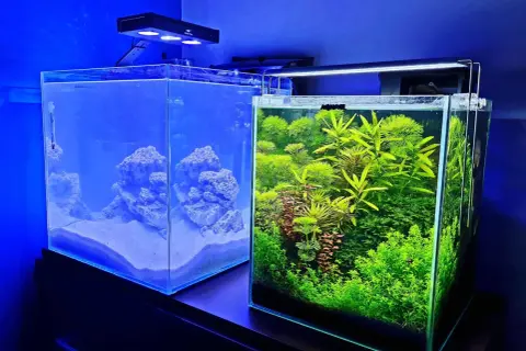 Ile rybek do akwarium 30l? Sprawdź, jak uniknąć przepełnienia i stresu ryb